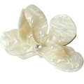 Hair Claw